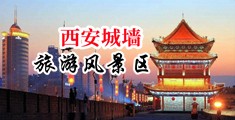淫荡的教师中出视频中国陕西-西安城墙旅游风景区